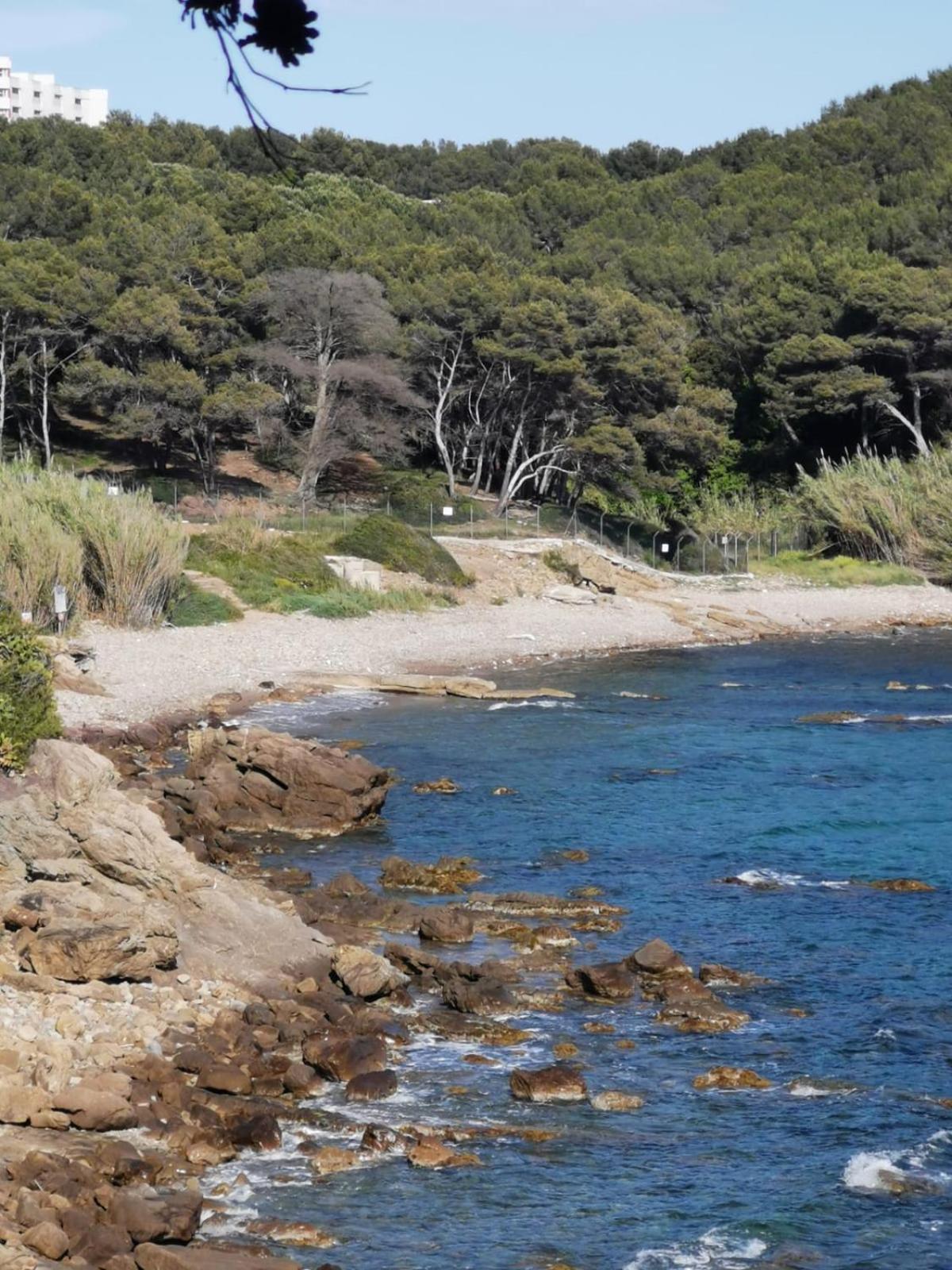 Petit Paradis - St Mandrier Village Saint-Mandrier-sur-Mer Eksteriør billede
