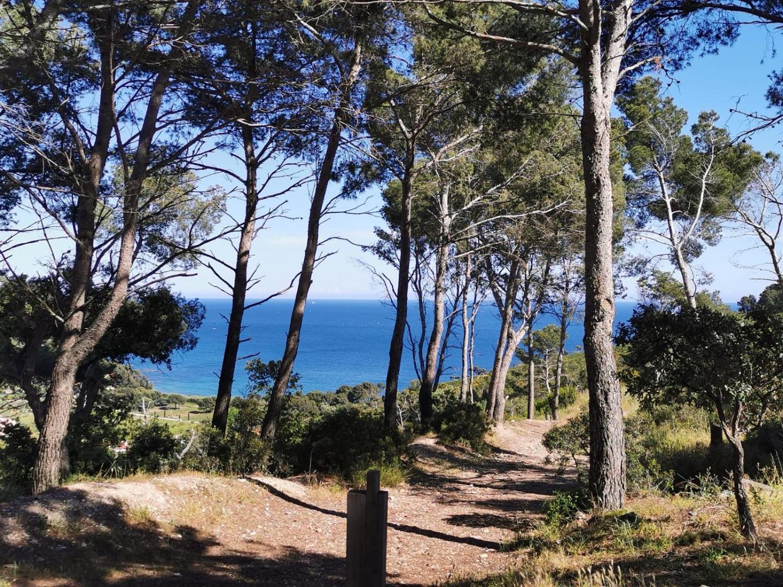 Petit Paradis - St Mandrier Village Saint-Mandrier-sur-Mer Eksteriør billede