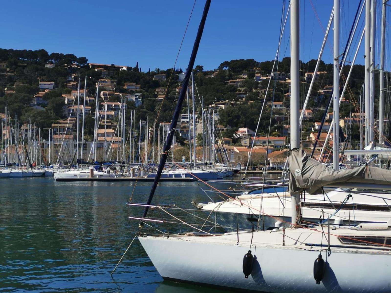 Petit Paradis - St Mandrier Village Saint-Mandrier-sur-Mer Eksteriør billede